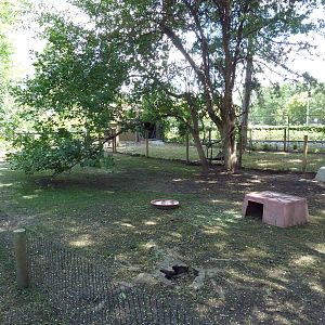 Galapagos Tortoise/African Spurred Tortoise Exhibit