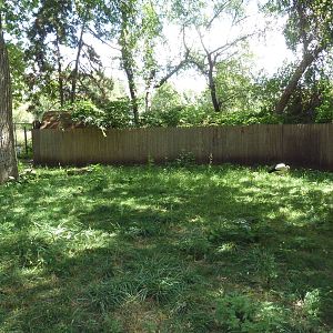 European White Stork Exhibit