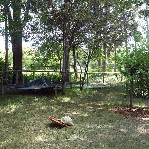 Leopard Tortoise/Blue-and-Gold Macaw Exhibit