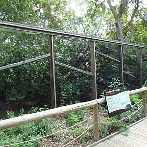 Squirrel Monkey/Red-Foot Tortoise Exhibit