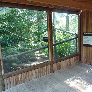 Squirrel Monkey/Red-Foot Tortoise Exhibit