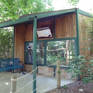 Black-and-White Ruffed Lemur Exhibit