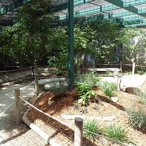 Walk-Through Aviary