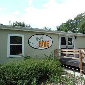 The Hive - Insect + Reptile House