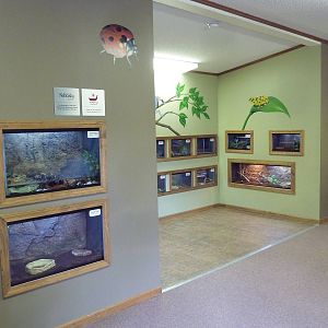 The Hive - Insect + Reptile House