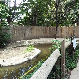 West African Dwarf Crocodile Exhibit