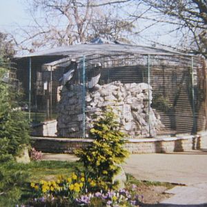 Aviary by entrance. 12/3/90.