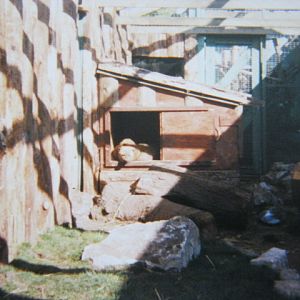 Pair Bush Dogs 12/3/90.