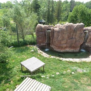 Amur Tiger Exhibit (overhead view)