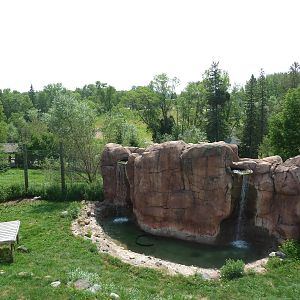 Amur Tiger Exhibit (overhead view)