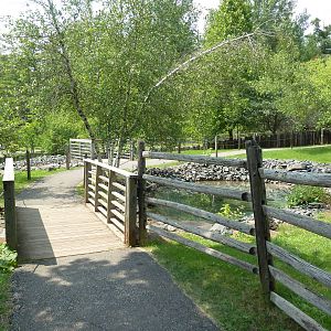 Red Kangaroo Walk-Through Exhibit