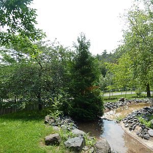 Red Kangaroo Walk-Through Exhibit