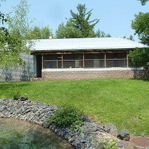 Red Kangaroo Walk-Through Exhibit