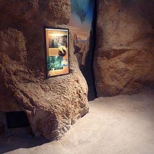 Australian Building - Pathway