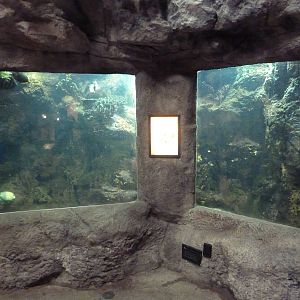 Australian Building - Coral Reef Tank