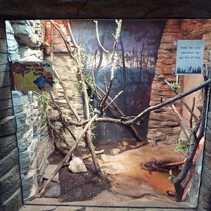Australian Building - Spiny Turtle/Golden Coin Turtle Exhibit