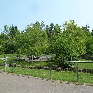 Red Kangaroo Walk-Through Exhibit