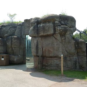 Lion Exhibit