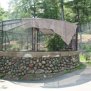 Northern Territory - American Crow Exhibit