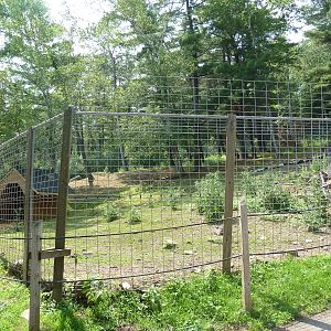 Northern Territory - Pere David's Deer Exhibit