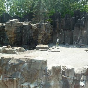 Northern Territory - Grizzly Bear/Kodiak Bear Exhibit
