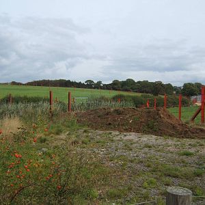 View of Elephant Paddock