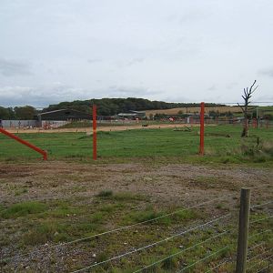 View of Elephant Paddock