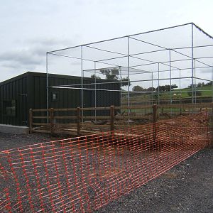 New Parrot Aviary construction work