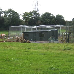 New Parrot Aviary construction work