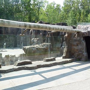 Northern Territory - Grizzly Bear/Kodiak Bear Exhibit