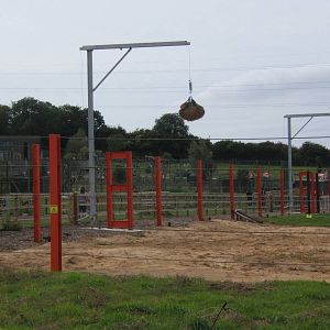 View of Elephant feeder
