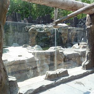 Northern Territory - Grizzly Bear/Kodiak Bear Exhibit