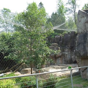 Northern Territory - Cougar Exhibit