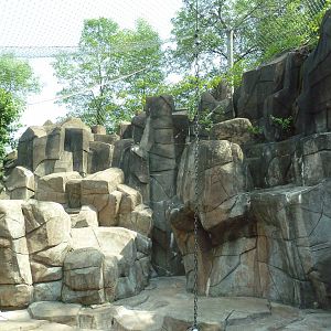 Northern Territory - Cougar Exhibit