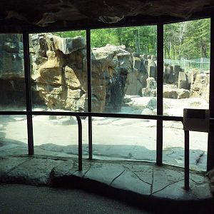 Northern Territory - Grizzly Bear/Kodiak Bear Exhibit