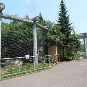 Eurasian Lynx + Snow Leopard Exhibits