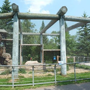Snow Leopard Exhibit