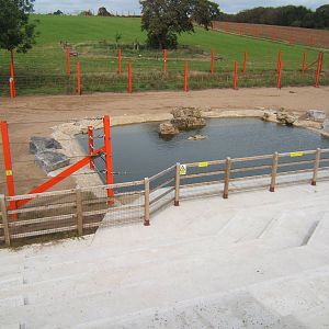 View of Elephant Pool