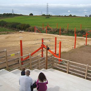 View of Elephant Paddock