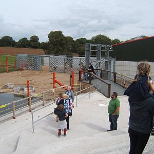View of Elephant Paddock and Pool