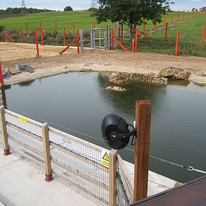 View of Elephant Pool