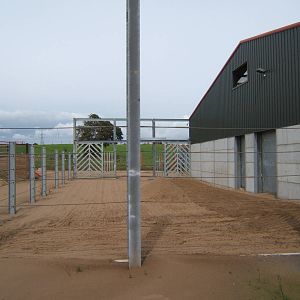 View of Elephant sand yard