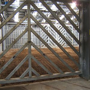 View inside the Elephant House