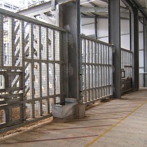 View inside the Elephant House