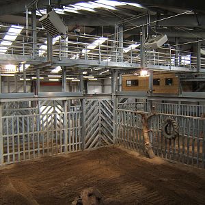 View inside the Elephant House