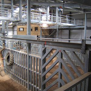 View inside the Elephant House