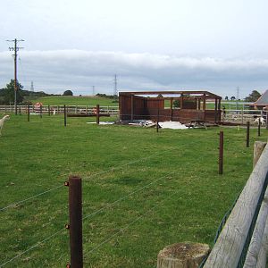 New Hoofstock stabling being built