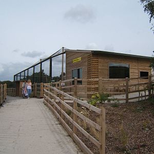 View of new Ring-tailed Lemur and Leopard Tortoise House and enclosure