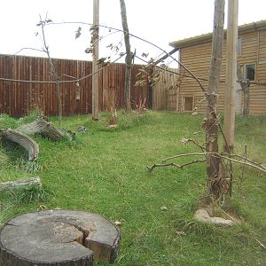 View of new Ring-tailed Lemur and Leopard Tortoise House and enclosure