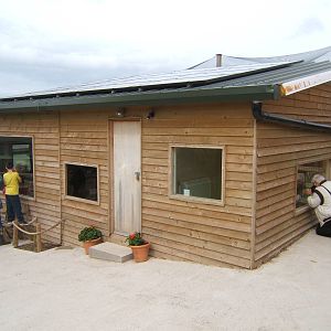 View of Ring-tailed Lemur and Leopard Tortoise House